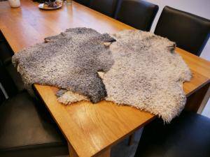 Saueskinn - Gotland - grey-white-gotland-sheepskin