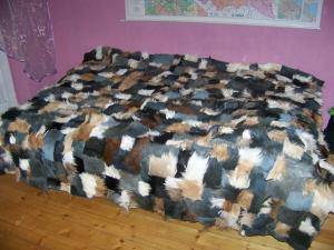 Saueskinn - Geiteskinn - charming-goat-skins-adam-leather