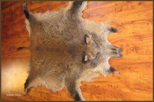 Saueskinn - Villsvinskinn - original-boar-skins-adam-leather